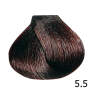 postQuam ARTIS Farbe Zero 60g - 5.5 (hellbraun mahagoni)